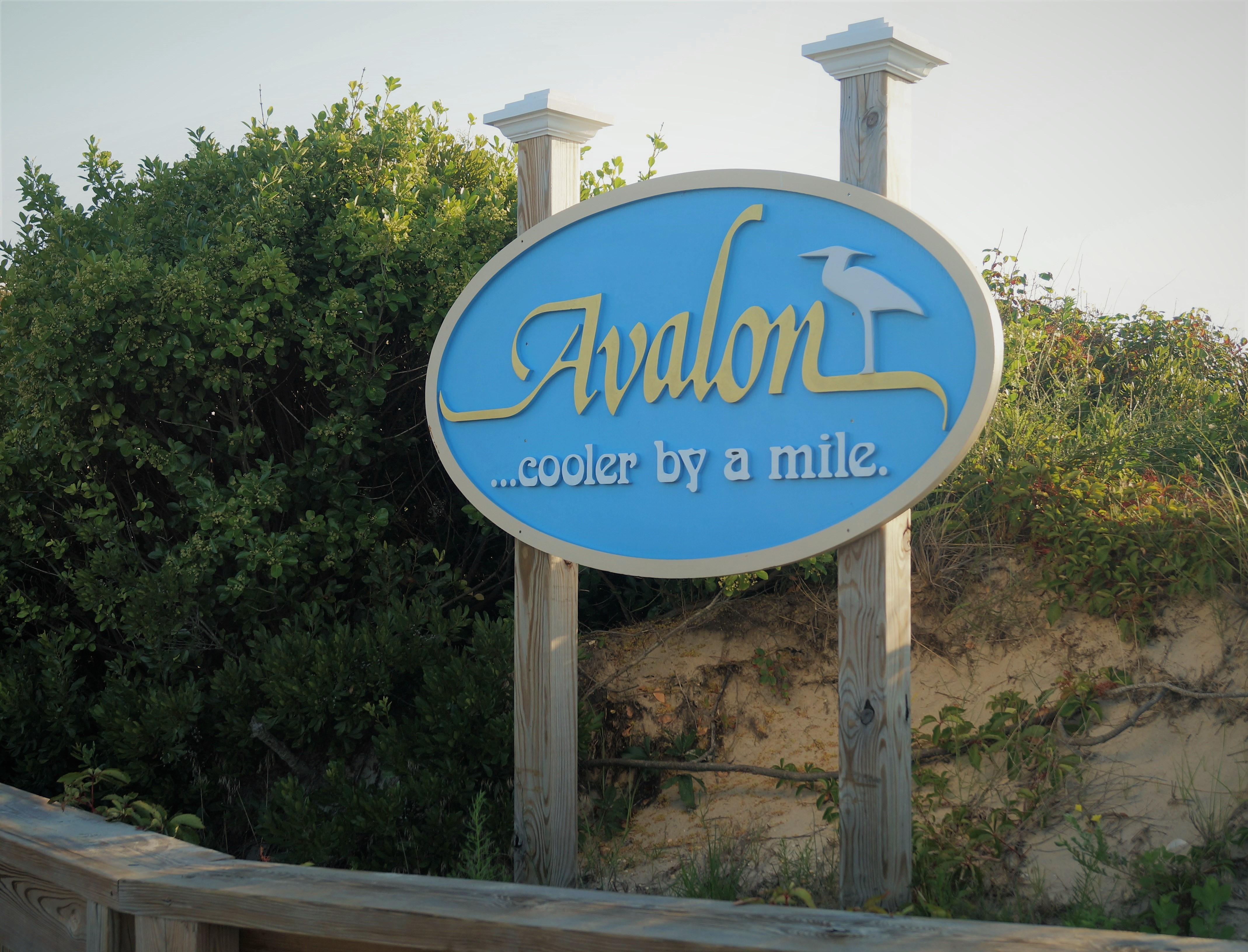 homes for sale in avalon nj